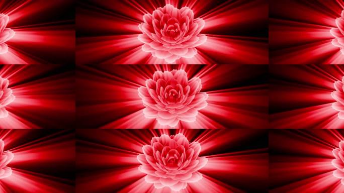 喜庆红牡丹舞台背景 牡丹花开（无缝循环）