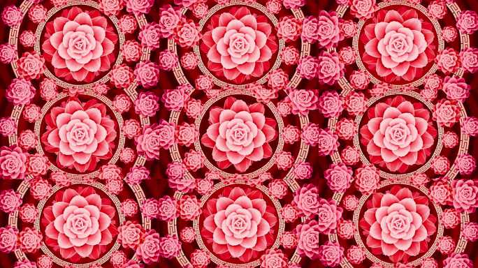 喜庆牡丹 循环花开（无缝循环）