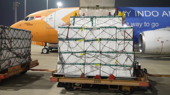 机场夜间海关监管下进口货运货机装卸作业