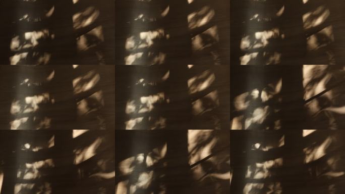 光影交错的窗格阴影