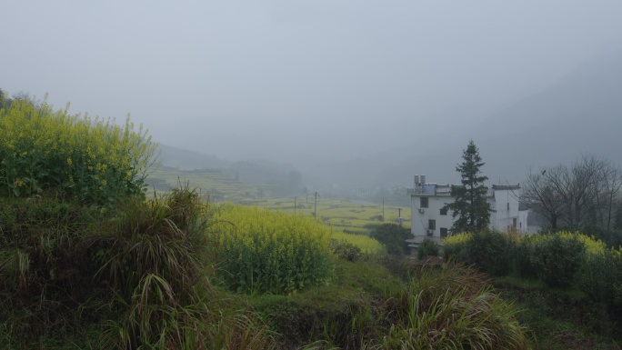 春天春雨 江南烟雨 徽派村落 梯田油菜花