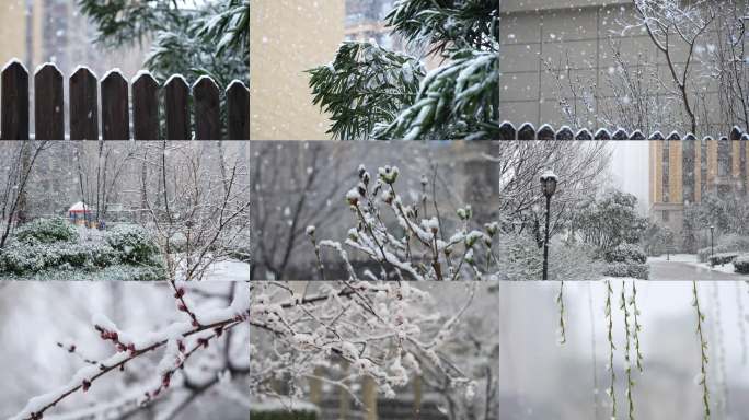 小区雪景冬日氛围