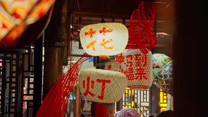 上海蟠龙新天地灯会鱼灯夜景