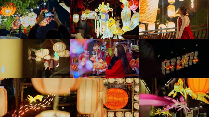 上海蟠龙新天地灯会鱼灯夜景