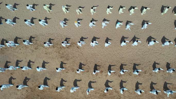 4K体育素材太极拳