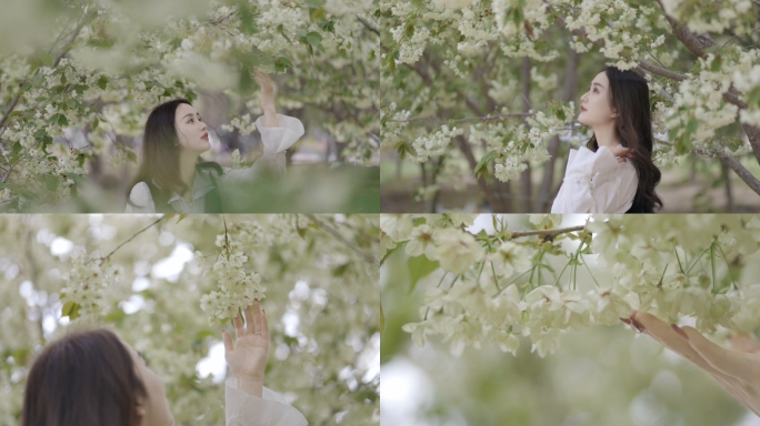 樱花树下微笑的女孩