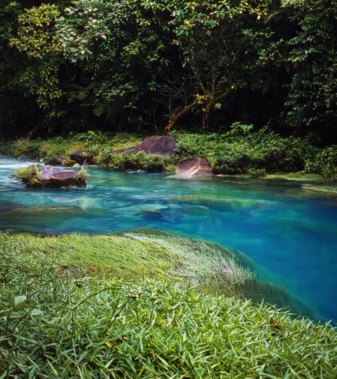雨林秘境蓝色溪流翡翠潭水