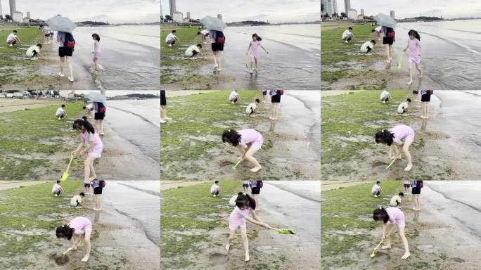 雨天海边挖蛤蜊童趣