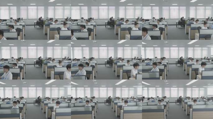 办公区职员工作场景