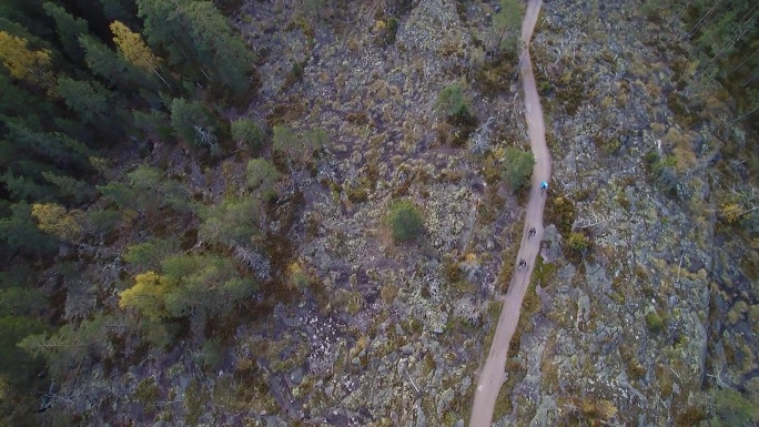 芬兰 国外 森林 户外 骑自行 第一视角