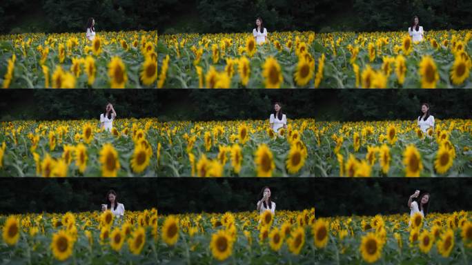 向日葵花田少女漫步