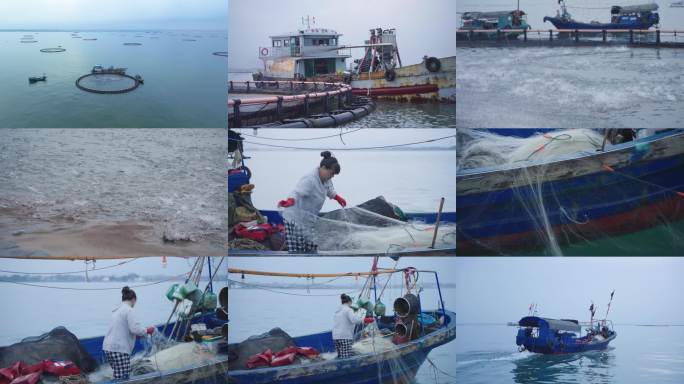 海南海上养殖渔业网箱养殖深水网箱养殖基地