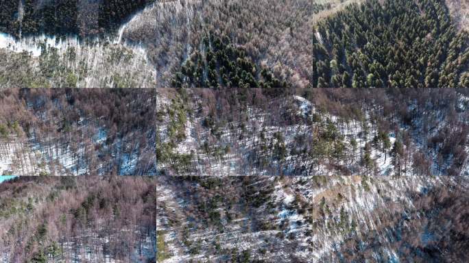 航拍山林雪景 冬季森林