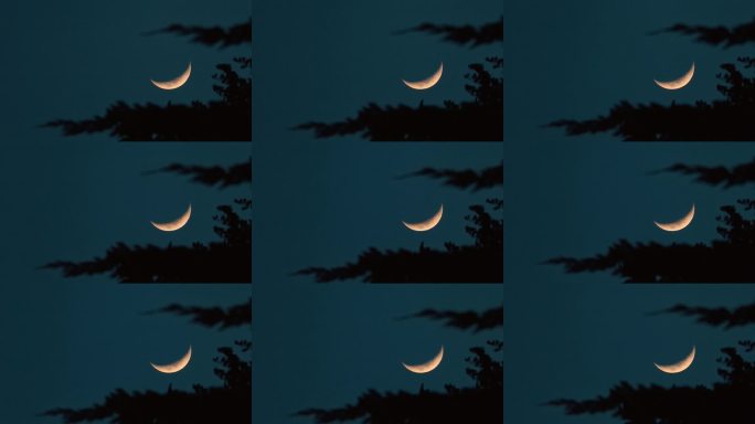 树影在随风晃动_3651_0