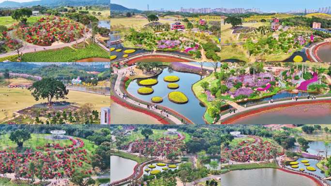 南宁青秀山丘石花园航拍视频素材