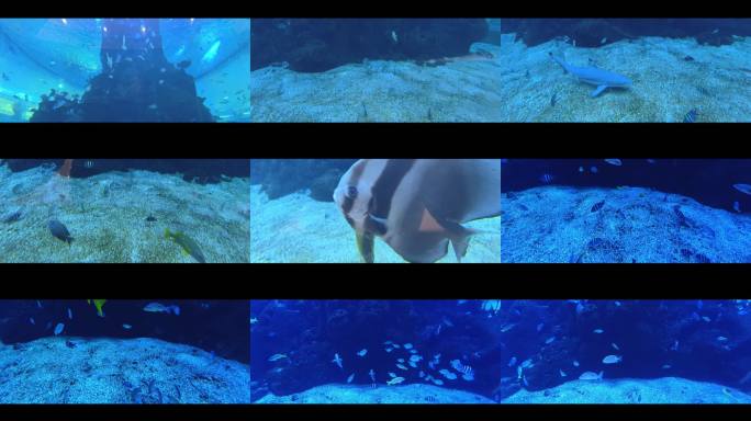 海底世界海洋馆素材