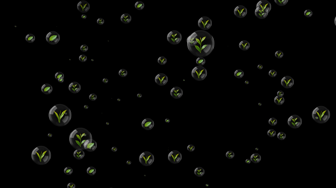 2款 茶叶气泡（透明底）